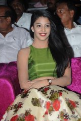 Hora Hori Movie Audio Launch
